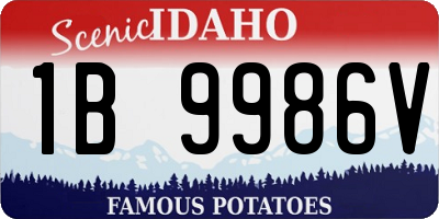 ID license plate 1B9986V