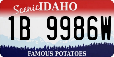 ID license plate 1B9986W