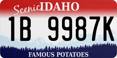 ID license plate 1B9987K