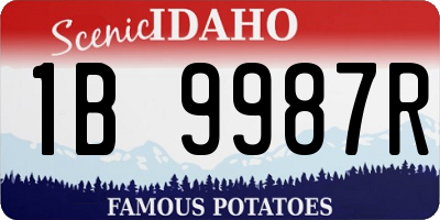ID license plate 1B9987R