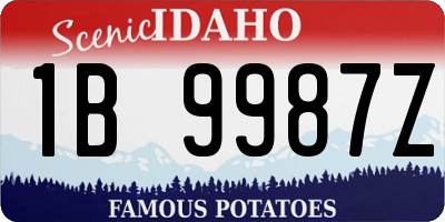 ID license plate 1B9987Z