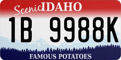 ID license plate 1B9988K