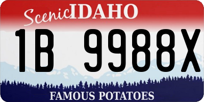 ID license plate 1B9988X