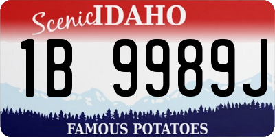 ID license plate 1B9989J