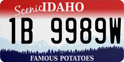 ID license plate 1B9989W