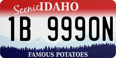 ID license plate 1B9990N