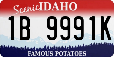ID license plate 1B9991K
