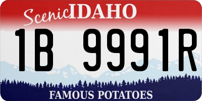ID license plate 1B9991R