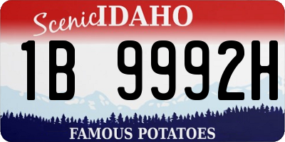 ID license plate 1B9992H