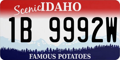 ID license plate 1B9992W