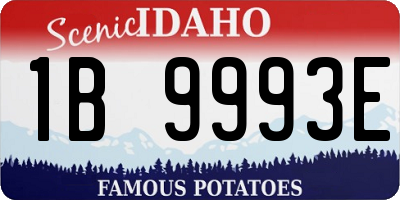 ID license plate 1B9993E