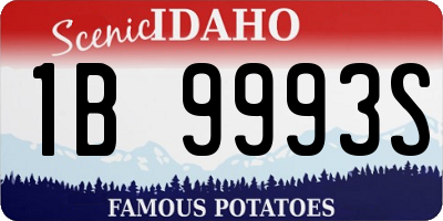 ID license plate 1B9993S