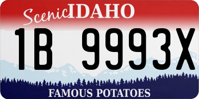 ID license plate 1B9993X