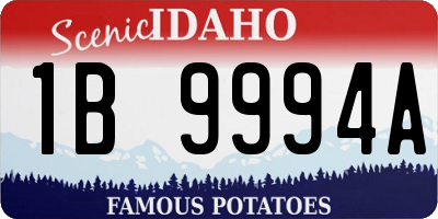 ID license plate 1B9994A