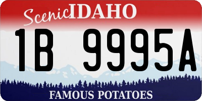 ID license plate 1B9995A