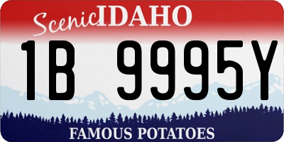 ID license plate 1B9995Y