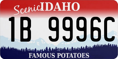 ID license plate 1B9996C