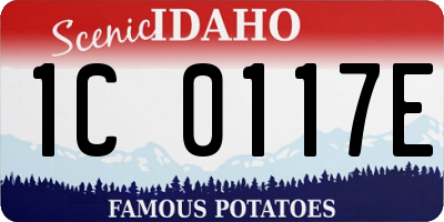 ID license plate 1C0117E