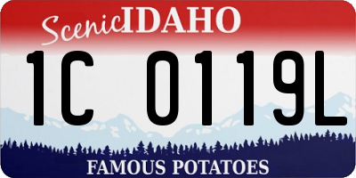 ID license plate 1C0119L
