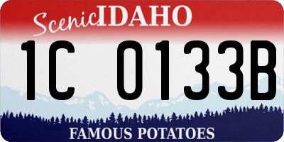 ID license plate 1C0133B