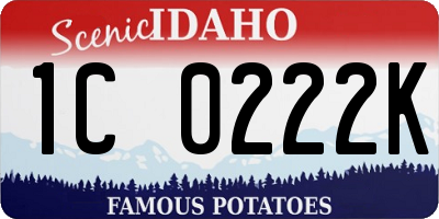 ID license plate 1C0222K
