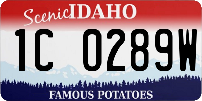 ID license plate 1C0289W