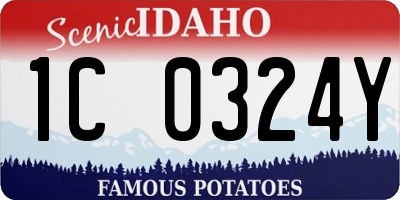 ID license plate 1C0324Y