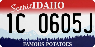 ID license plate 1C0605J
