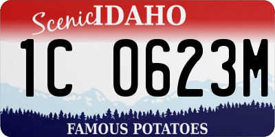 ID license plate 1C0623M