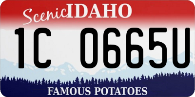 ID license plate 1C0665U