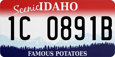 ID license plate 1C0891B