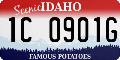 ID license plate 1C0901G