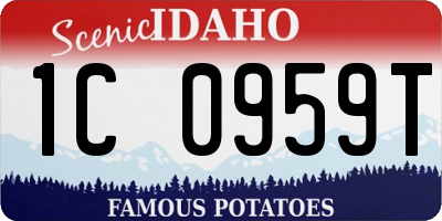 ID license plate 1C0959T