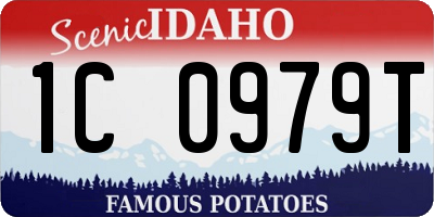 ID license plate 1C0979T