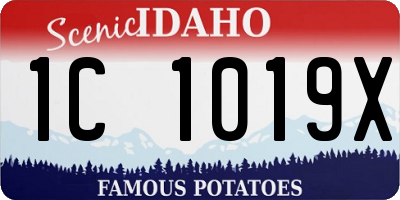 ID license plate 1C1019X