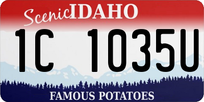 ID license plate 1C1035U