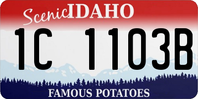 ID license plate 1C1103B