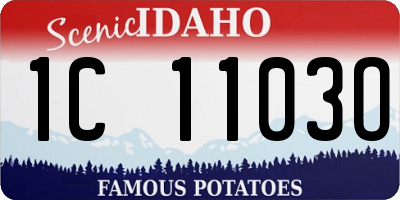 ID license plate 1C1103O