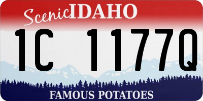 ID license plate 1C1177Q