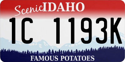 ID license plate 1C1193K