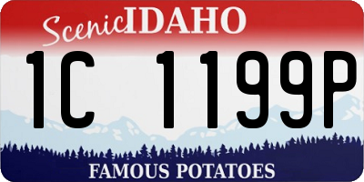 ID license plate 1C1199P