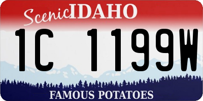 ID license plate 1C1199W