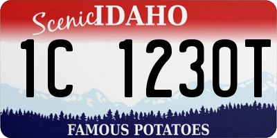 ID license plate 1C1230T