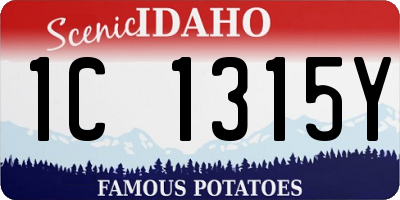 ID license plate 1C1315Y