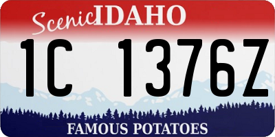 ID license plate 1C1376Z