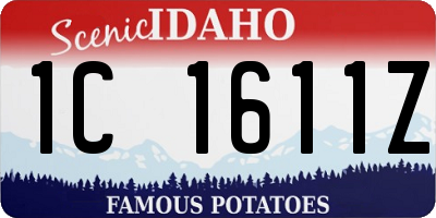 ID license plate 1C1611Z