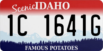 ID license plate 1C1641G