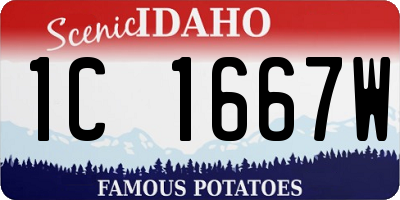 ID license plate 1C1667W