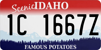 ID license plate 1C1667Z