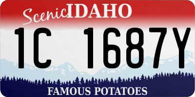 ID license plate 1C1687Y